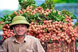 Tạo đòn bẩy phát triển kinh tế từ sức mạnh liên kết vùng