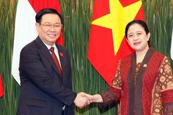Việt Nam và Indonesia phấn đấu thương mại hai chiều vượt 15 tỷ USD