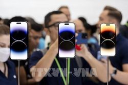 Apple vẫn làm ăn có lãi dù doanh số iPhone giảm