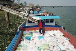 Giá thóc gạo tăng từng ngày, Bộ Công Thương hỏa tốc yêu cầu doanh nghiệp không mua gom ồ ạt