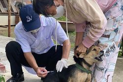 Nhơn Trạch ra quân tiêm vắc xin phòng dại cho đàn chó, mèo