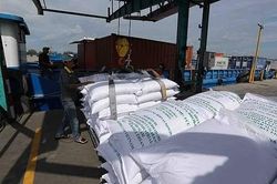 Hỏa tốc yêu cầu doanh nghiệp không mua gom ồ ạt lúa gạo