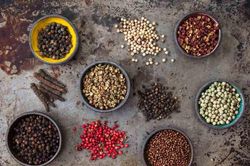 Tiếp đà tăng, giá tiêu đều trên mốc 70.000 đồng/kg