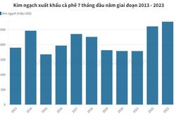Giá đạt đỉnh 15 năm, xuất khẩu cà phê lập kỷ lục thập kỷ