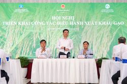 Giá thóc gạo trong nước đang tăng nhanh từng ngày