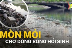 Mòn mỏi chờ dòng sông hồi sinh