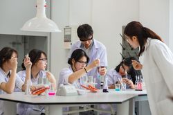 Đoàn giám sát ghi nhận những kết quả tích cực triển khai chương trình mới