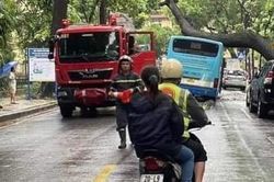 Cây xà cừ bật gốc đè ngang xe bus đang lưu thông tại Hà Nội