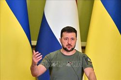Hội nghị hòa bình Ukraine khai mạc tại Saudi Arabia