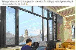 Flex cũng cần văn hóa