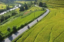 Giải ngân hơn 226 tỷ đồng phát triển kinh tế vùng đồng bào dân tộc thiểu số và miền núi