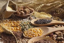 FAO: Thỏa thuận Biển Đen sụp đổ làm tăng giá lương thực toàn cầu tháng 7