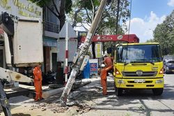 Đồng Nai: Cây xanh gãy đổ gây mất điện 300 hộ dân
