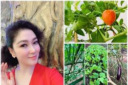 Khu vườn xanh mướt trong biệt thự của Hoa hậu Nguyễn Thị Huyền