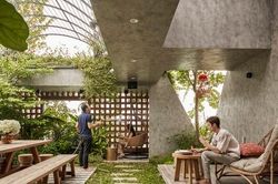Chiêm ngưỡng căn nhà mang cả vườn nhiệt đới lên sân thượng