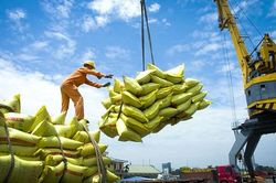 Giá lúa gạo tăng cao, Thủ tướng chỉ đạo bảo đảm an ninh lương thực và xuất khẩu bền vững
