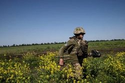 Tình báo Anh nói lùm cây và cỏ dại làm chậm đà phản công của Ukraine