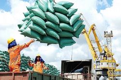 Đẩy mạnh xuất khẩu gạo nhưng cần chú trọng đến các yếu tố bất lợi của thị trường
