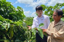 Agribank Chư Pưh 'tiếp sức' phát triển nông nghiệp