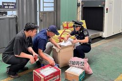 Hải quan tập trung ngăn chặn hàng lậu qua đường chuyển phát nhanh