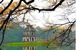 Không phải chuyện 'Cây tre trăm đốt'