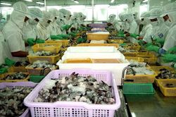 Số liệu kinh doanh quý II của những tên tuổi lớn ngành thủy sản
