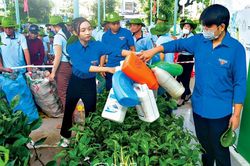Ðổi rác thải nhựa lấy cây trồng
