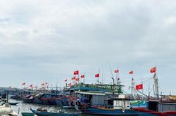 Khi ngư trường là nhà
