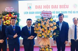 Liên đoàn Vovinam Hà Nội đặt mục tiêu vươn tầm trong nhiệm kỳ mới