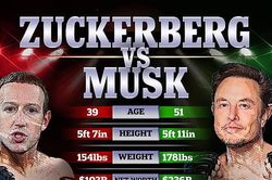 Được 3 cao thủ huấn luyện, Elon Musk tuyên bố về trận đấu với 'ông trùm Facebook' khiến CĐV hào hứng