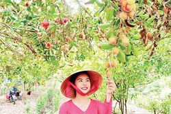 Du lịch sinh thái góp phần xây dựng nông thôn mới