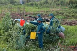 Cuộc 'sát hạch' toàn diện