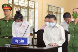 Lừa góp vốn kinh doanh để chiếm đoạt hơn 400 tỉ đồng, 'nữ quái' lĩnh án chung thân