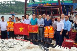 Ngư dân Cửa Lò liên tục trúng đậm hải sản có giá trị
