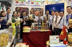 Việt Nam-Ấn Độ thảo luận biện pháp thúc đẩy hợp tác kinh tế