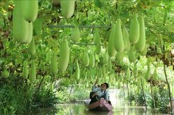 Hướng tới du lịch và đầu tư xanh