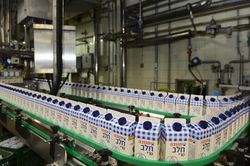 Israel bỏ thuế nhập khẩu với sữa: Cơ hội nào cho doanh nghiệp Việt?