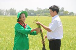 Tam Nông bứt phá từ nội lực nông nghiệp