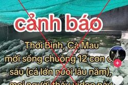 Thông tin sai sự thật, bị phạt 7,5 triệu đồng