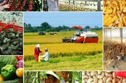 Bảo đảm an ninh lương thực trong mọi tình huống