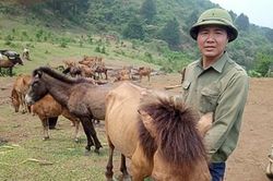 Thành công nhờ thay đổi cách nghĩ, cách làm