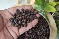 Vàng thế giới giảm tiếp 6 USD/oz; Giá cà phê trong nước cao nhất 68.000 đồng/kg