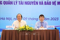 Tận dụng cơ hội để hướng tới nền kinh tế xanh, carbon thấp