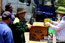 Kiểm soát chặt hoa quả tươi xuất, nhập khẩu