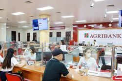 Ổn định thị trường tín dụng, hỗ trợ tăng trưởng kinh tế