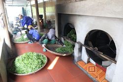 Nguồn vốn tín dụng chính sách giúp xóa đói giảm nghèo cho đồng bào dân tộc thiểu số