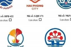 Thực hư thông tin tác phẩm dự thi biểu tượng Hải Phòng bị 'nhái'