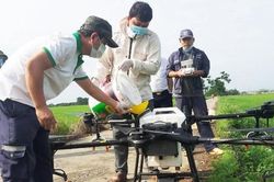 Ứng dụng công nghệ 4.0 vào sản xuất nông nghiệp tại Hà Nội: Mở hướng phát triển mới