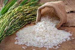 Giá gạo tăng vọt lên mức cao nhất trong gần 15 năm