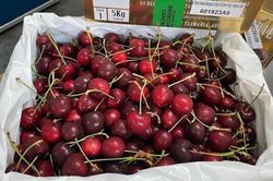 Giá cherry nhập khẩu Mỹ thấp kỷ lục; Giá vàng tiếp tục trượt dốc